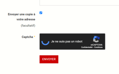 Captcha ReCaptcha [carlosoquendodeamat.com]