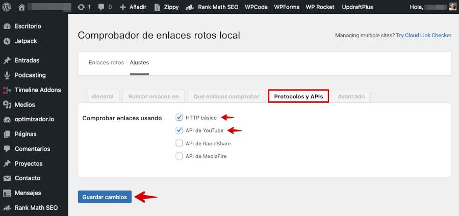 Ajustes de Broken Link Checker - Protocolos y APIs