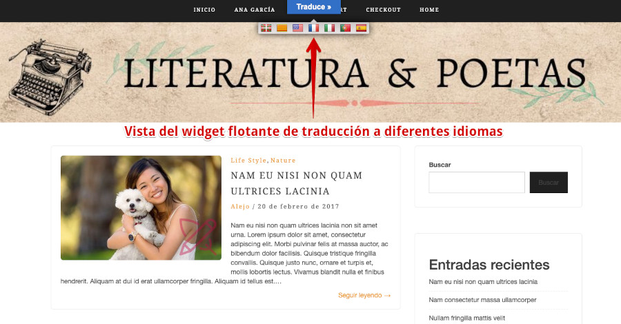 Ajustes del plugin Translate WordPress – Google Language Translator