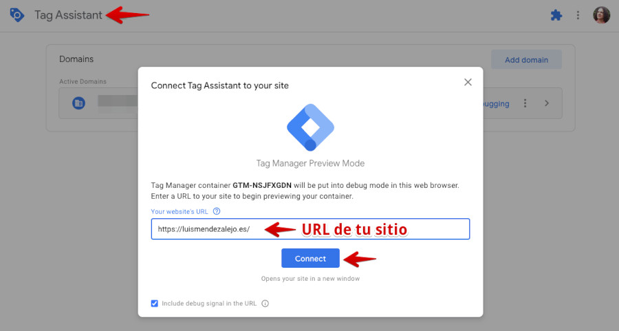 Google Tag Manager - Vista previa - Sitio conecta