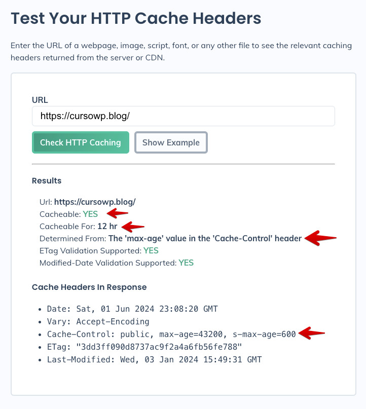 Online HTTP Cache Checker de Requets Metrics - Expire headers detectadas