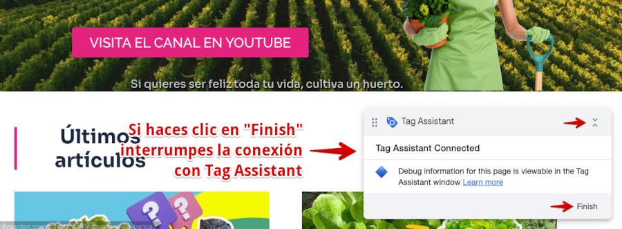 Tag Assistant - Clic en Finish interrumpe conexión con Tag Assistant