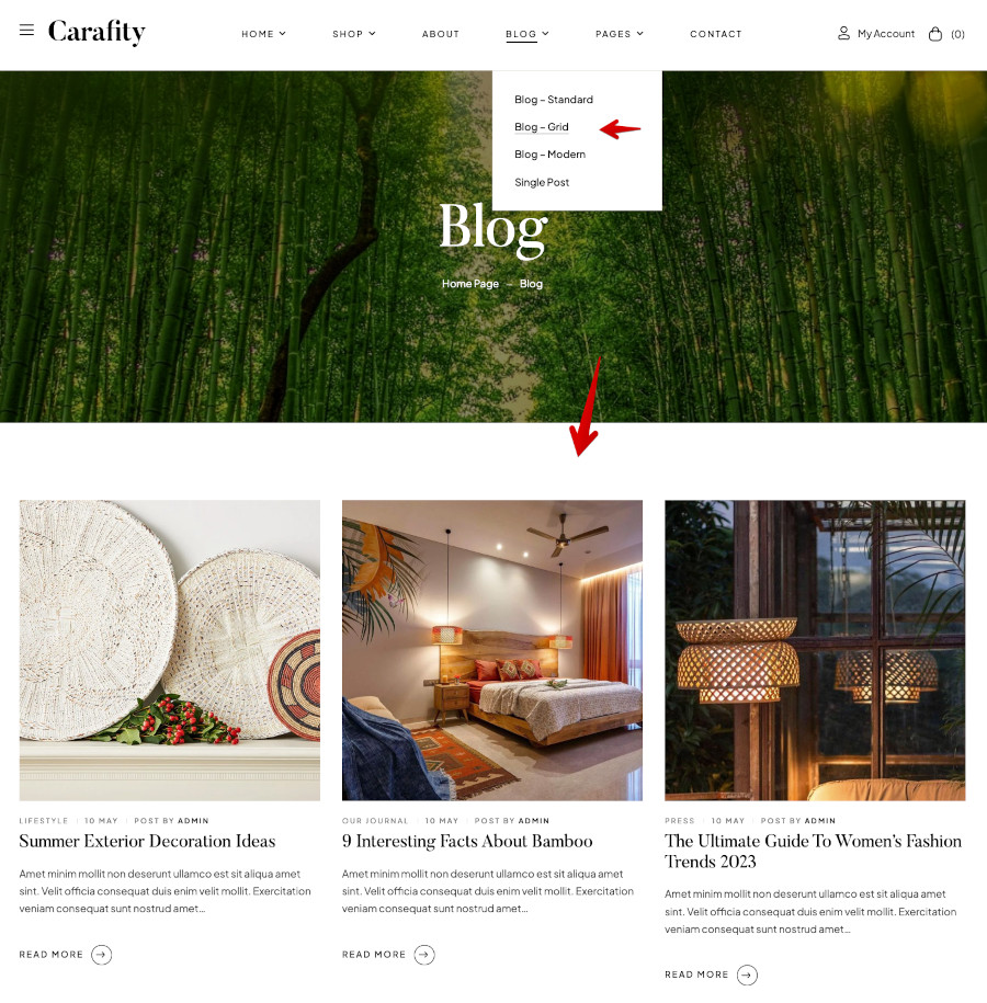 Tema Carafity - Blog