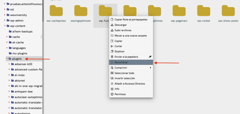 renombrar plugins desde administrador de archivos