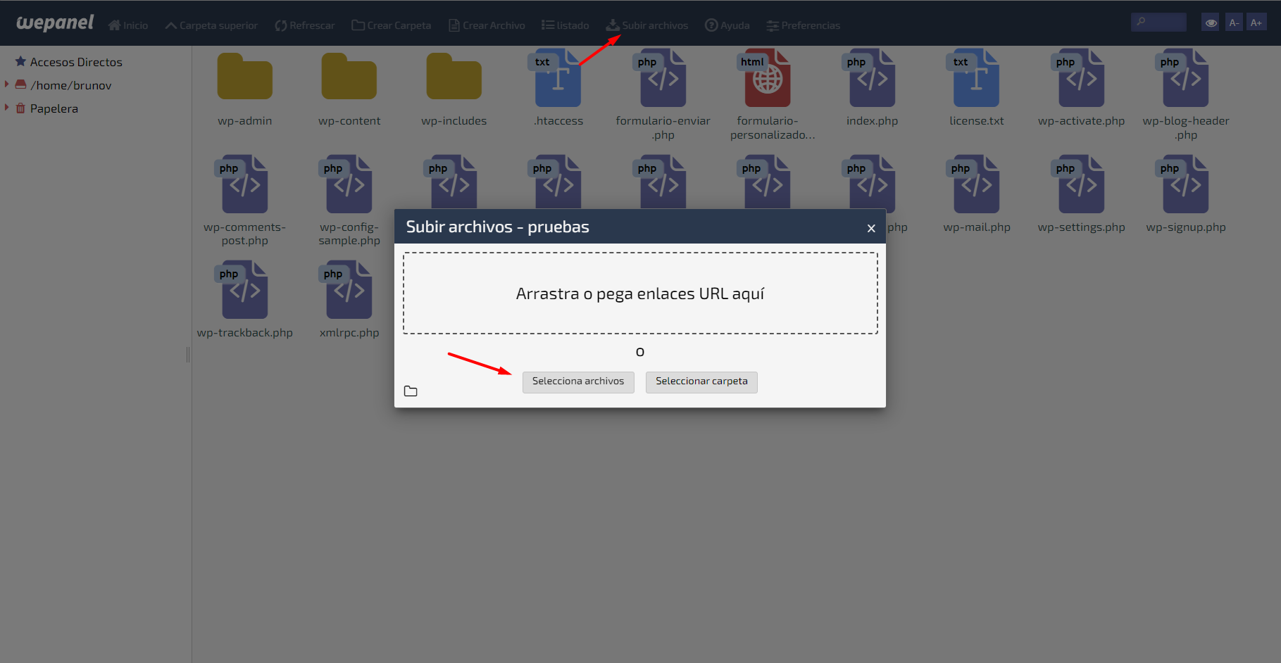 wepanel subir archivos